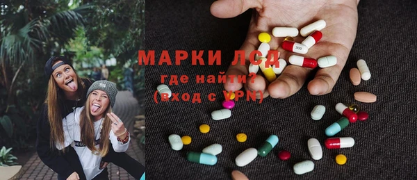 стаф Волосово