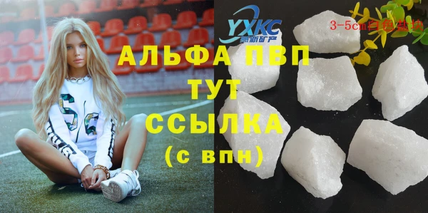 стаф Волосово