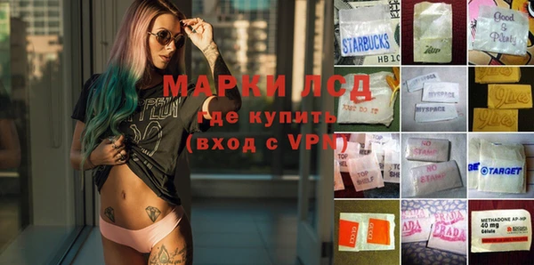 стаф Волосово