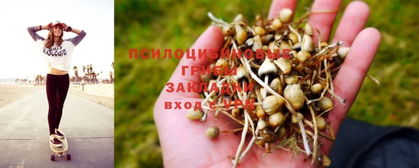 прущая мука Волоколамск